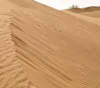 Osian Desert